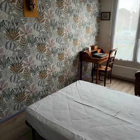 Daire L'intemporel - T3 Avec Jardinet Puvatya